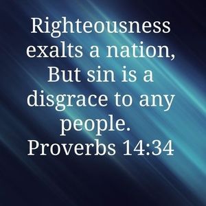 Meet your Posher, Bruce